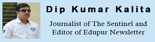 Dip Kumar Kalita, Journalist