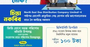 NEGDCL PNG Gas Connection Assam