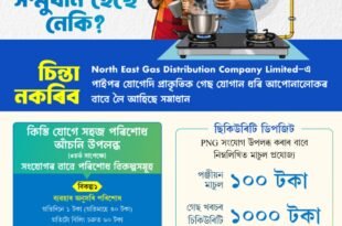 NEGDCL PNG Gas Connection Assam