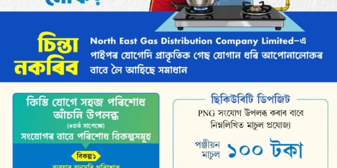 NEGDCL PNG Gas Connection Assam