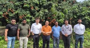 Sonitpur District Commissioner Ananda Kumar Das and agricultural experts inspecting litchi trees at Poruwa garden ahead of the Tezpur Litchi Festival 2026.