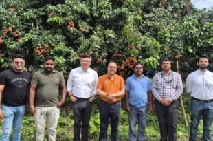 Sonitpur District Commissioner Ananda Kumar Das and agricultural experts inspecting litchi trees at Poruwa garden ahead of the Tezpur Litchi Festival 2026.