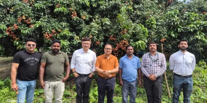 Sonitpur District Commissioner Ananda Kumar Das and agricultural experts inspecting litchi trees at Poruwa garden ahead of the Tezpur Litchi Festival 2026.