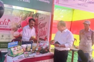 Day 2 of Tezpur Litchi Festival 2026: Historic Dubai Export and Grand Cultural Finale