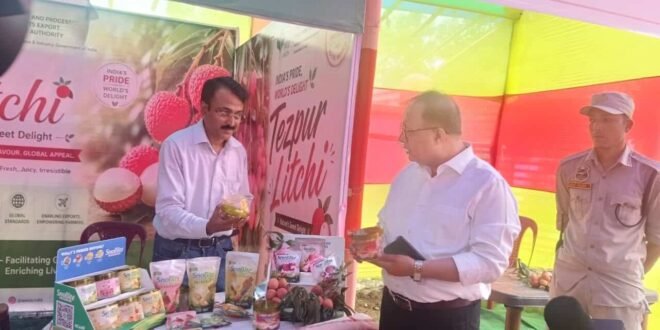 Day 2 of Tezpur Litchi Festival 2026: Historic Dubai Export and Grand Cultural Finale