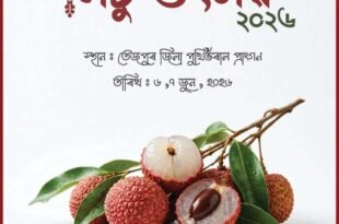 Tezpur Litchi Festival 2026 event poster detailing dates June 6 to 7 at the District Library Auditorium in Tezpur.