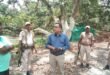 Sonitpur DC Reviews Preparations for Assam Agriculture Minister’s Visit to Parua Litchi Garden