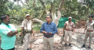 Sonitpur DC Reviews Preparations for Assam Agriculture Minister’s Visit to Parua Litchi Garden