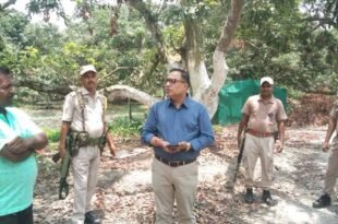 Sonitpur DC Reviews Preparations for Assam Agriculture Minister’s Visit to Parua Litchi Garden