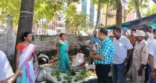 District Commissioner Inspects Proposed Site for Bus Stand, Auto Stand & Vendor Spaces Near TMCH